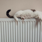 Consejos para calentar tu casa sin usar calefacción