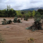 La imagen muestra los efectos del temporal del fin de semana en la provincia de Málaga.