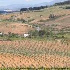La comarca ha sabido recuperar su poder vitivinícola y se pretende no perder los viñedos viejos. L. DE LA MATA