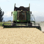 Una cosechadora trabaja en una finca de trigo, durante la última siega. MARCIANO PÉREZ