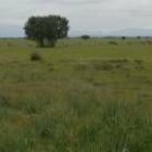Los terrenos de Miñambres de la Valduerna centran la polémica sobre el circuito de velocidad