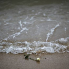 Una rosa es depositada en una playa tailandesa en homenaje a los niños muertos por el tsunami.