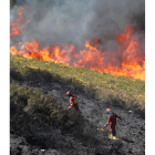 Incendio de la Tebaida. ANA F. BARREDO