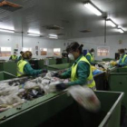 Varios trabajadores separan los residuos en el CTR en una imagen de archivo.