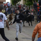 Los corredores esquivan la llegada de los novillos en el segundo encierro de las fiestas. ACACIO DÍAZ