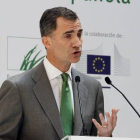 El Príncipe de Asturias, durante su intervención en la entrega hoy en Madrid de los Premios Europa de Medio Ambiente a la Empresa 2014.