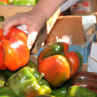 Los productores de pimientos compartirán espacio con una feria de artesanía
