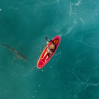 Una fotografía tomada desde un dron muestra un tiburón rondando a una canoa en el Mediterráneo. ABIR SULTAN/EFE