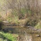 La configuración del humedal condiciona la eliminación de determinados contaminantes.