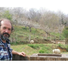 Foto facilitada por Medio Rural de José Ángel Rodríguez con sus ovejas. DL