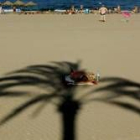 Una mujer descansa a la sombra de una palmera en una playa valenciana