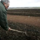 Carlos Mendaña en sus hileras locales de abono ecológico