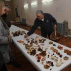 La Divina Pastora albergó ayer una exposición micológica.