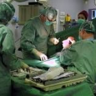 El registro de donantes permitirá agilizar las intervenciones de trasplante de órganos