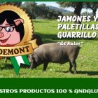 La página web de la tienda Pig Demont, con el logotipo del cerdo con gafas y cabello similar al del expresident.