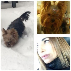 Composición de imágenes con la que Mariló Montero ha comunicado el fallecimiento de su mascota, la perrita Lola.