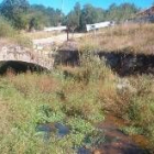 El arroyo se encuentra lleno de maleza y sin sanear