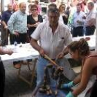 Francisco Castañón en un momento de degustación de la morcilla polesa