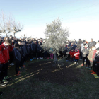 El CD Cerecedo plantó un olivo en el campo de El Coto que recordará a Andrés Nistal. MARCIANO PÉREZ