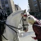 Policemen on horses caught the attention of tourists and passers-by around San Marcos