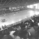 Abajo, la afición vibra en un partido del Ademar.