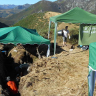 El equipo de profesores y alumnos que está realizando las excavaciones. DL