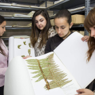 Un grupo de alumnas de Ciencias Ambientales durante su visita al herbario de Biológicas. F. OTERO PERANDONES