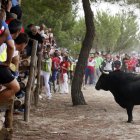 Imagen de archivo del Toro de la Vega del año pasado.