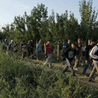 Un grupo de refugiados camina en los alrededores de Sid, cerca de la frontera con Croacia.