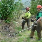 Efectivos anti incendios realizan tareas de control del arbolado en una imagen de archivo.
