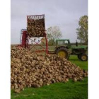 La reestructuración del sector provocará una reducción de la producción