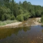 Un tramo del río Omaña, cerca del lugar donde aparecieron las truchas muertas en la tarde del martes