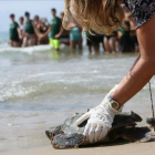 Una bióloga vuelve a poner en el mar a una tortuga boba en la playa Llarga de Tarragona.