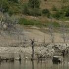 Imagen del pantano de Riaño tras la campaña de riego y los largos meses de sequía de la provincia