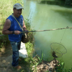 El pescador J.L. de la Fuente pescando cangrejos en las orillas del río Cea.
