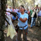 Imagen de la pica con taladro en Tardelcuende. WIFREDO GARCÍA