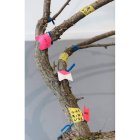 Árbol de 19 metros cortado en siete volúmenes iguales. ROBERTO RUIZ