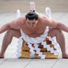 Harumafuji, en una foto tomada en Tokio a principios de año.