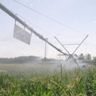 Un pívot riega un maizal en la zona de Joarilla de las Matas