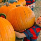 Un niño levanta una calabaza la víspera de Halloween, en una imagen de archivo.