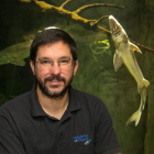 Carlos Vicente, conservador del acuario de Zaragoza, posa en la zona de cuarentena del recinto. javier cebollada
