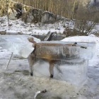 Un zorro quedó atrapado por el frío y quedó congelado mientras cruzaba el Danubio, en Fridingen, al sur de Alemania.