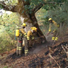 Forestales de la Junta, trabajando ayer en la zona. DL