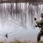 La pesca de lucio es muy común en los cursos bajos del Esla y del Órbigo.