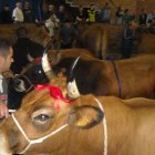 En el certamen concurrieron 18 ganaderías, doce de ellas de Laciana, con unas 130 reses.