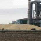 Montón de maíz en la cooperativa Ucogal, a finales del mes de febrero