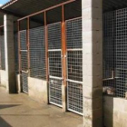 Las instalaciones de la perrera municipal de Astorga se ampliarán los próximos meses.