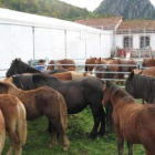 La carpa de la feria instalada en el campo de las escuelas acogió las reses de bovino.