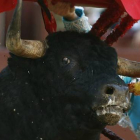 La crueldad en los festejos taurinos, según Igualdad Animal.