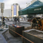 Los ganaderos llevaron las vacas a la sede de la Comisión Europea, en Bruselas. LAURENT DUBRULE / EFE